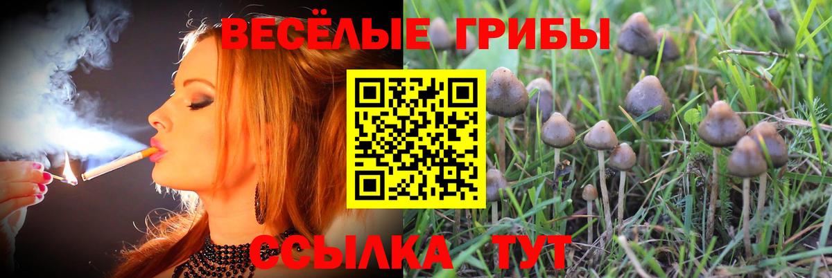 Сунжа  Псилоцибиновые грибы ЛСД  Вход с VPN 